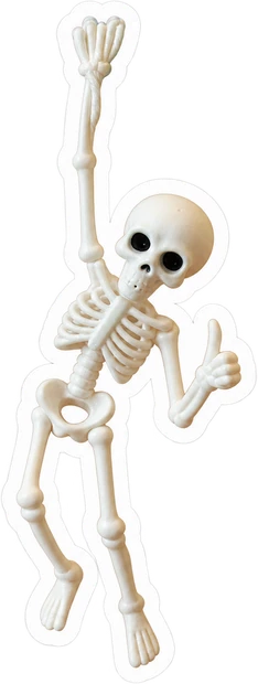 3D printed posable skeleton figure